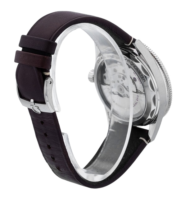 Omega Seamaster 300 234.32.41.21.01.001 Image 3